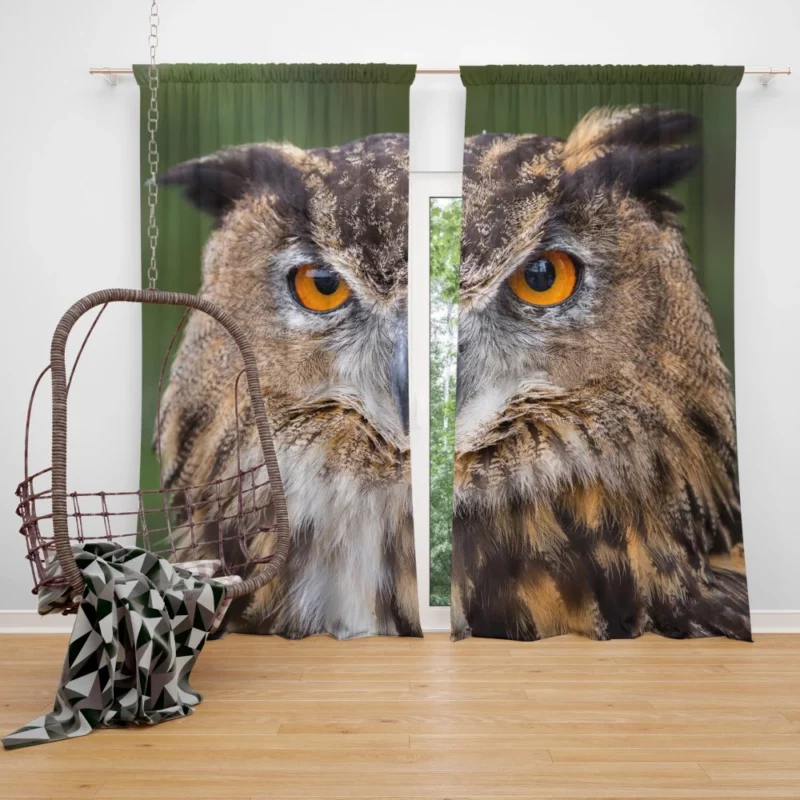 Owl Mystical Stare Nocturnal Observer Curtain