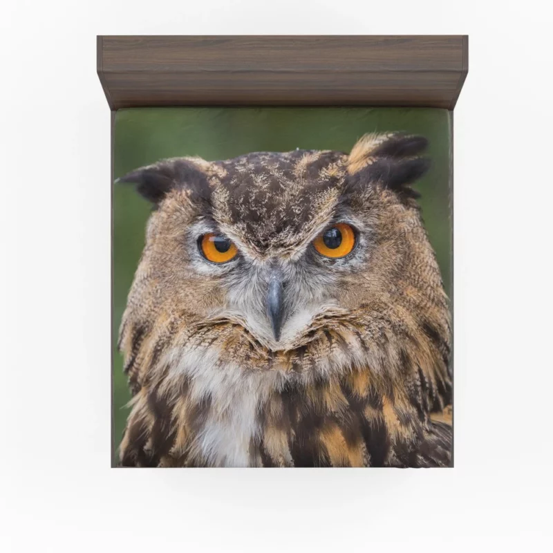 Owl Mystical Stare Nocturnal Observer Fitted Sheet 1