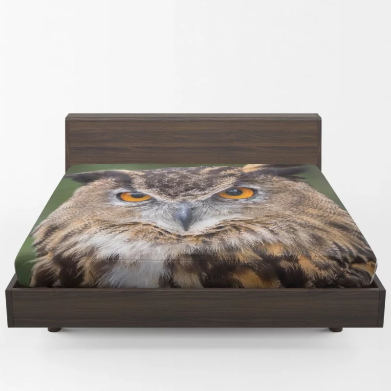 Owl Mystical Stare Nocturnal Observer Fitted Sheet