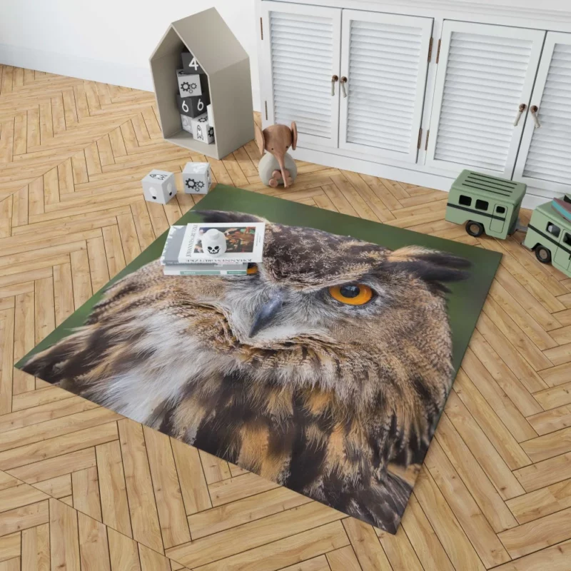 Owl Mystical Stare Nocturnal Observer Rug 1