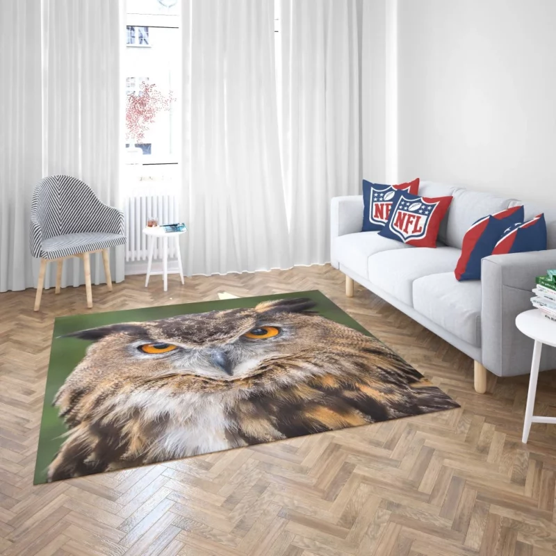 Owl Mystical Stare Nocturnal Observer Rug 2