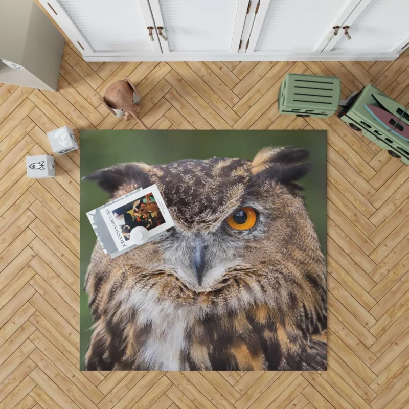 Owl Mystical Stare Nocturnal Observer Rug