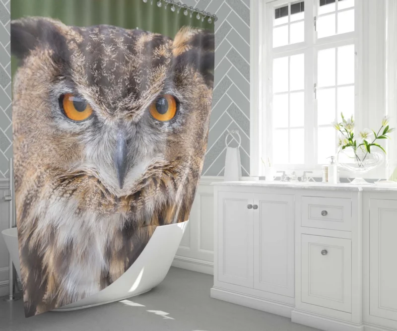 Owl Mystical Stare Nocturnal Observer Shower Curtain 1