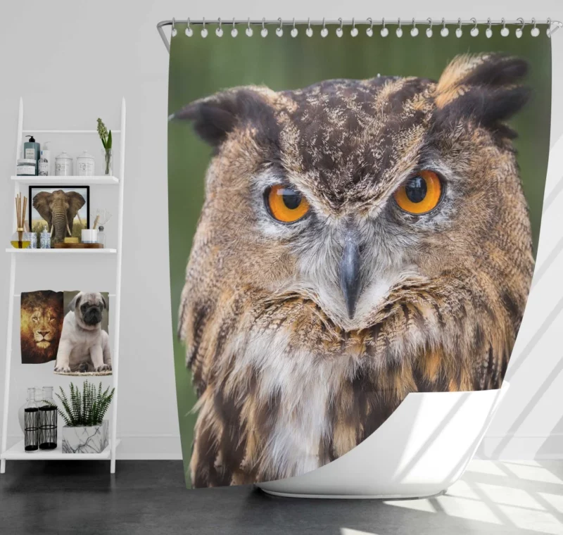 Owl Mystical Stare Nocturnal Observer Shower Curtain