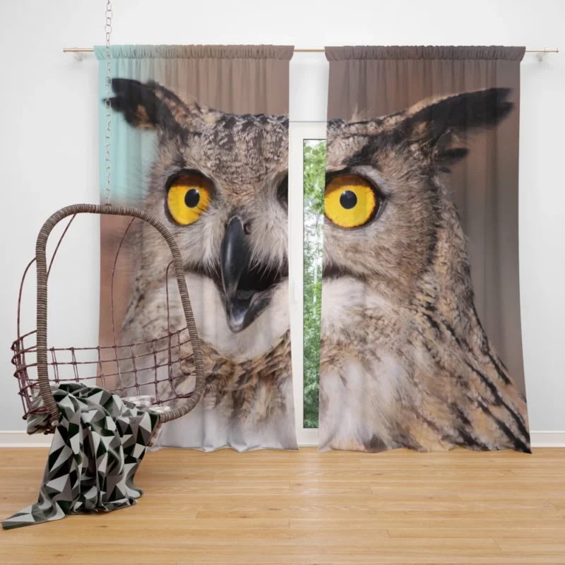 Owl Night Watch Curtain