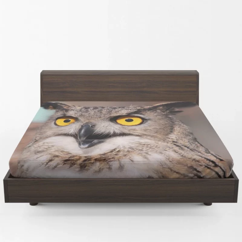 Owl Night Watch Fitted Sheet