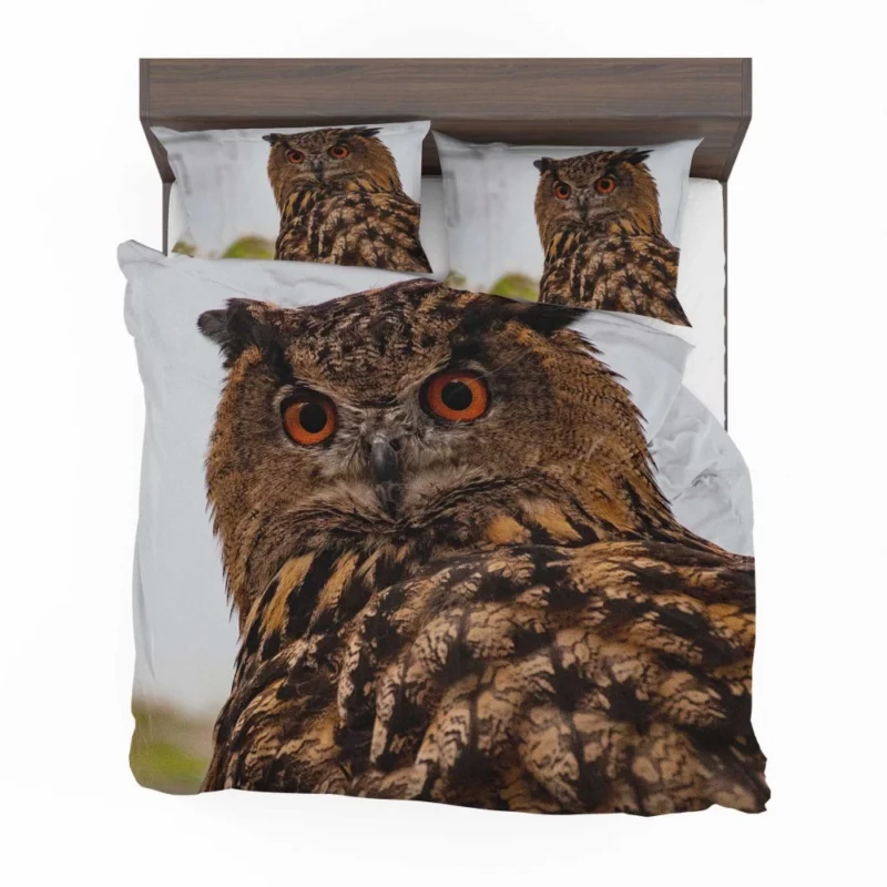 Owl Nocturnal Gaze Silent Watch Bedding Set 1