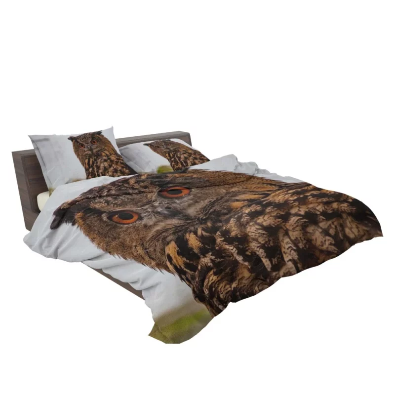 Owl Nocturnal Gaze Silent Watch Bedding Set 2