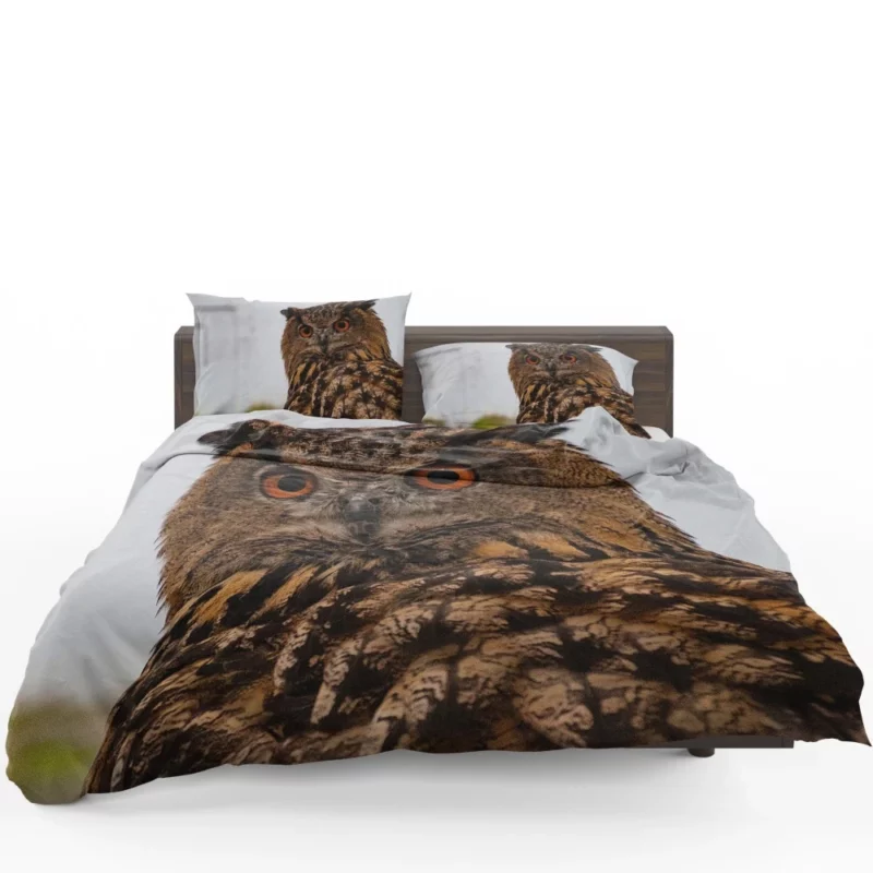 Owl Nocturnal Gaze Silent Watch Bedding Set