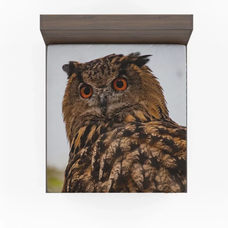 Owl Nocturnal Gaze Silent Watch Fitted Sheet 1