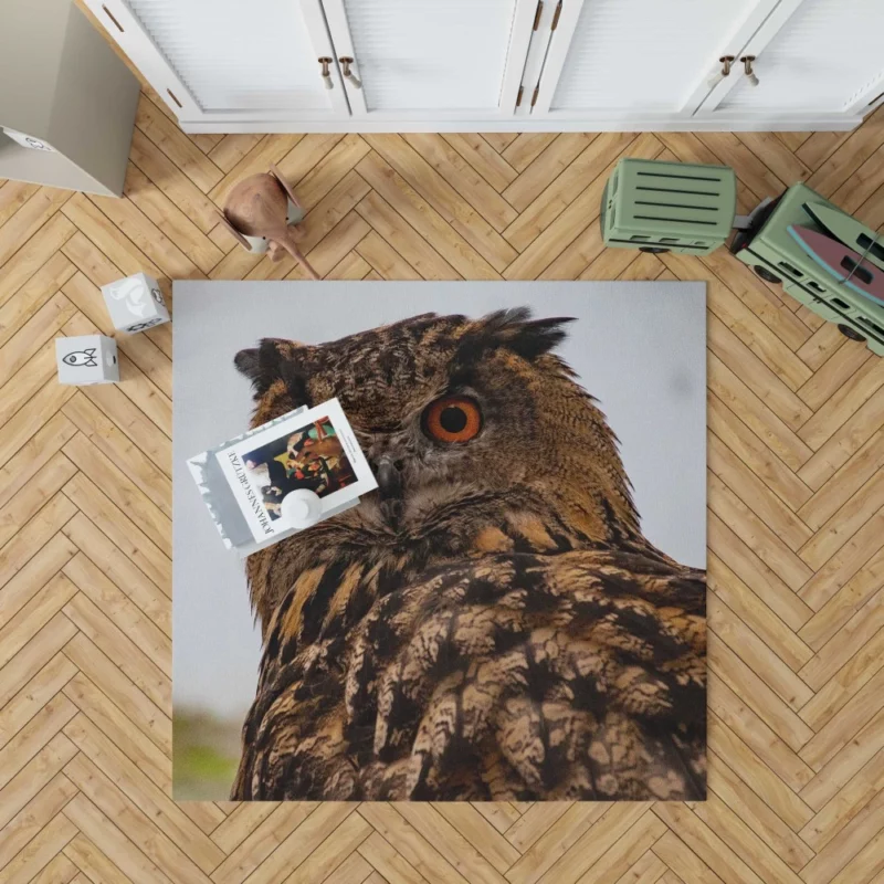 Owl Nocturnal Gaze Silent Watch Rug