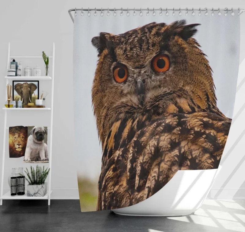 Owl Nocturnal Gaze Silent Watch Shower Curtain