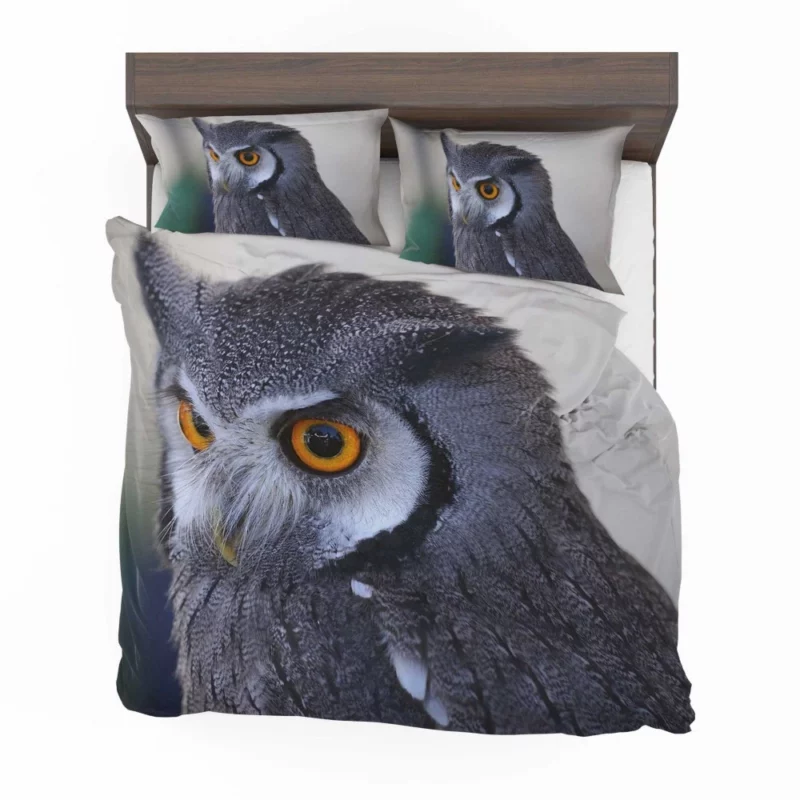 Owl Nocturnal Majesty Enigmatic Gaze Bedding Set 1