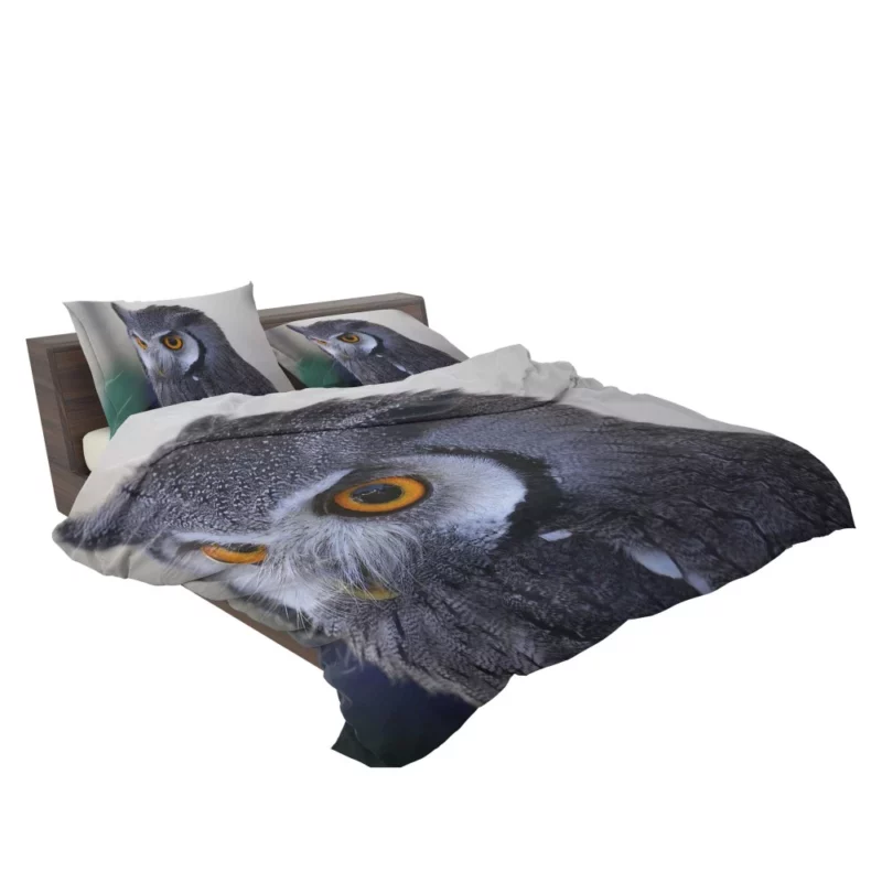 Owl Nocturnal Majesty Enigmatic Gaze Bedding Set 2