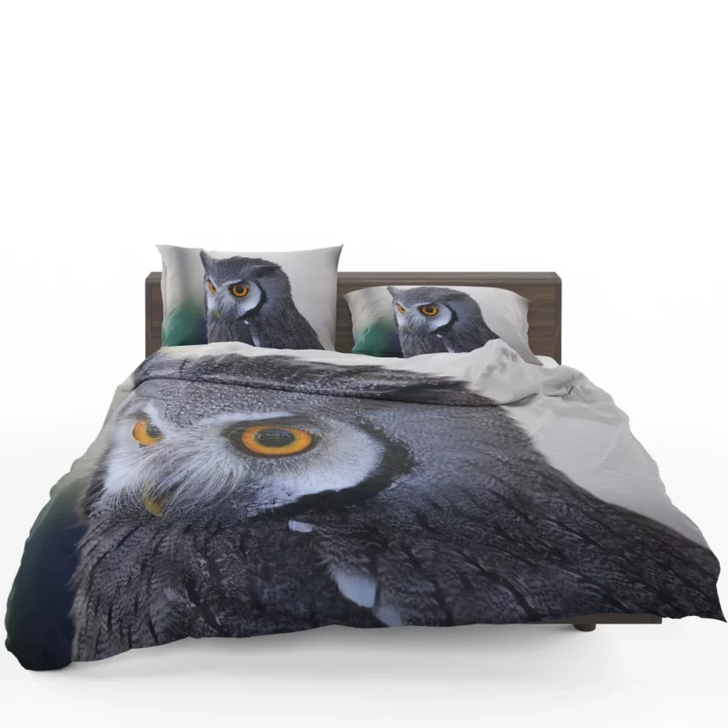 Owl Nocturnal Majesty Enigmatic Gaze Bedding Set