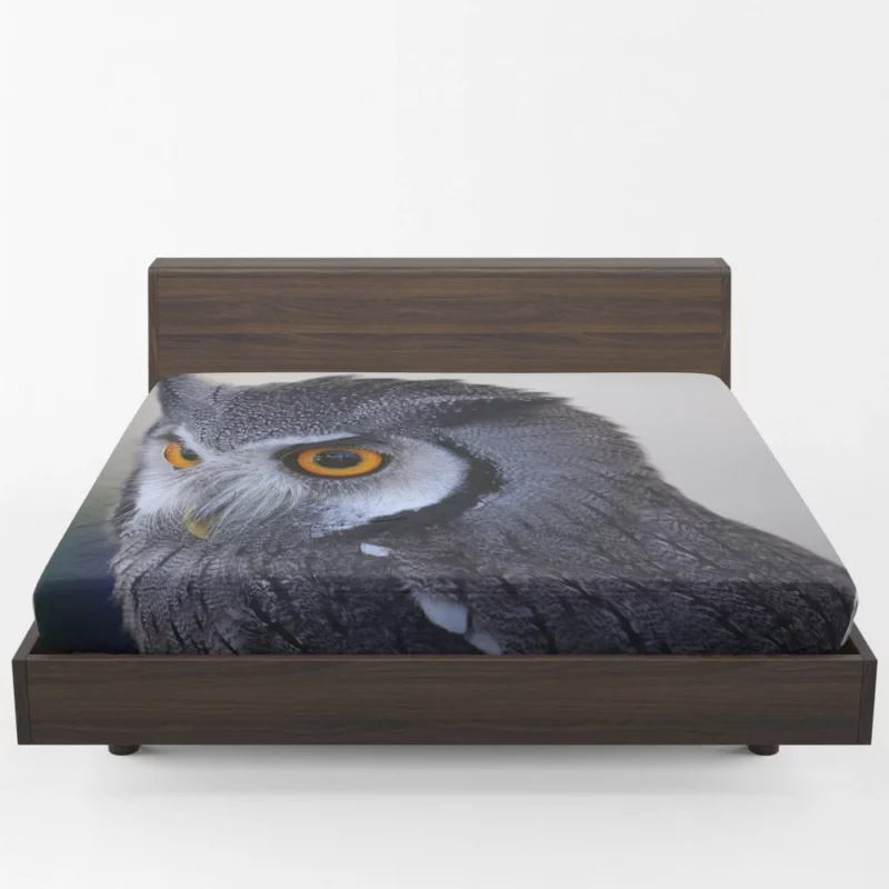 Owl Nocturnal Majesty Enigmatic Gaze Fitted Sheet