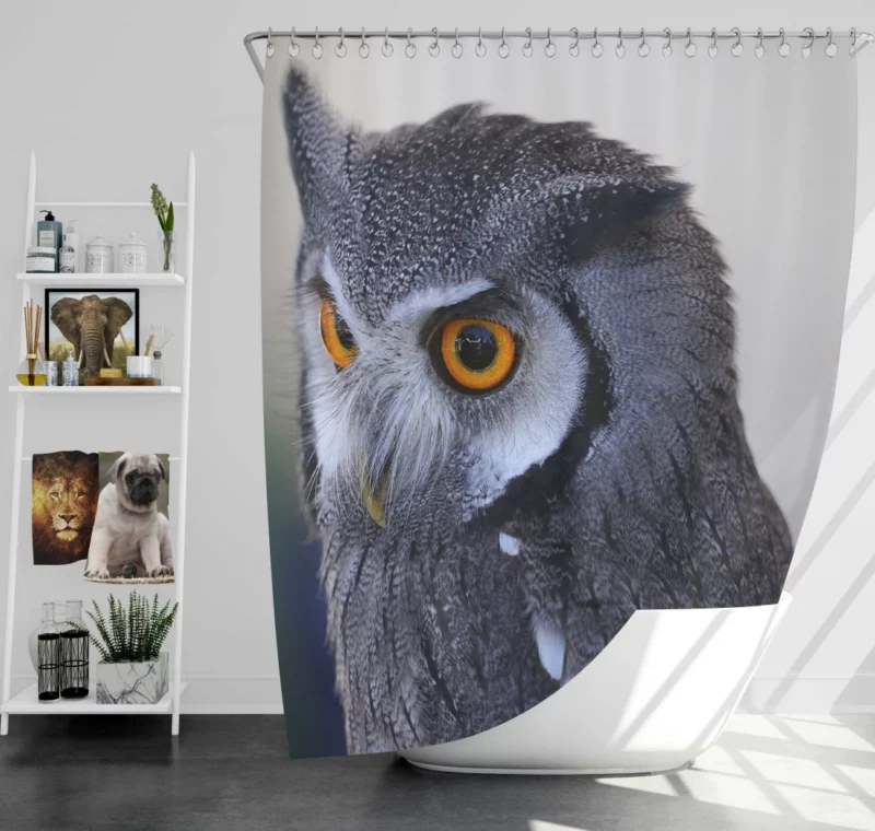 Owl Nocturnal Majesty Enigmatic Gaze Shower Curtain