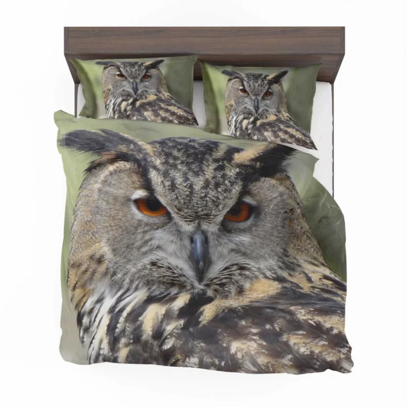 Owl Nocturnal Majesty Enigmatic Stance Bedding Set 1