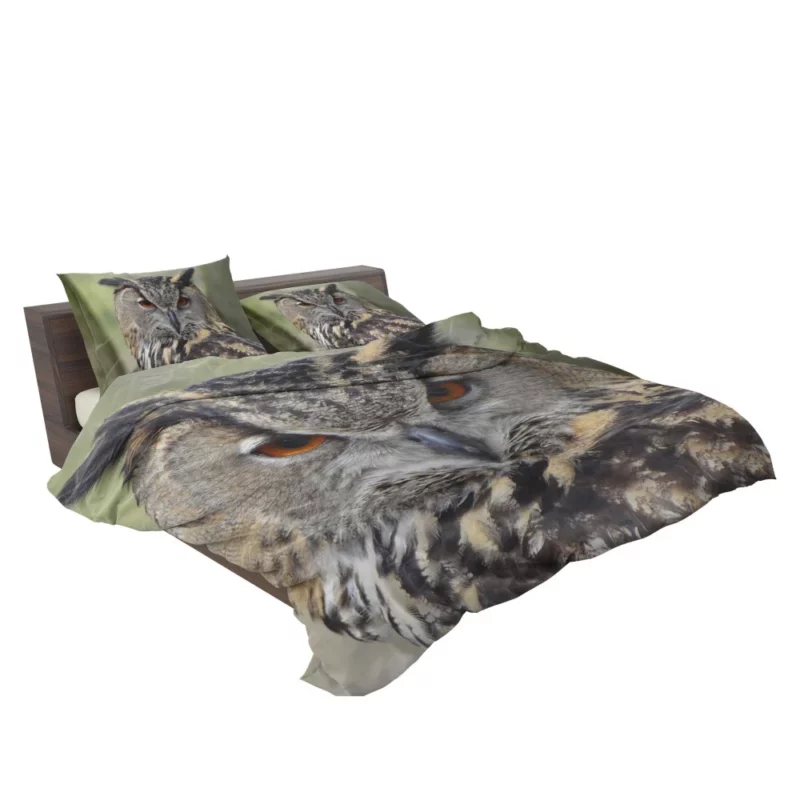 Owl Nocturnal Majesty Enigmatic Stance Bedding Set 2