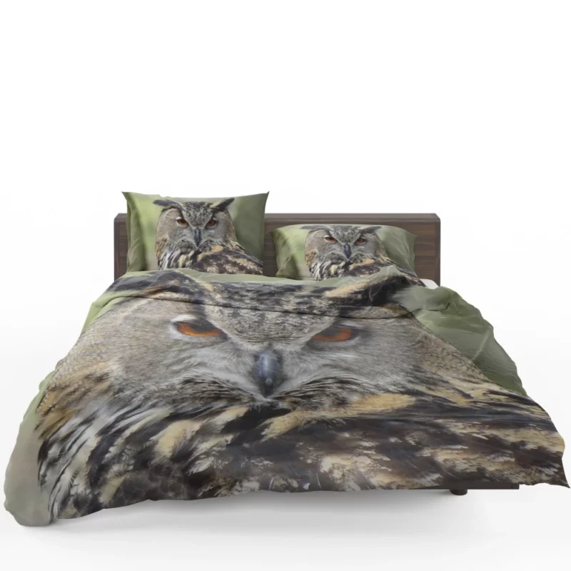 Owl Nocturnal Majesty Enigmatic Stance Bedding Set