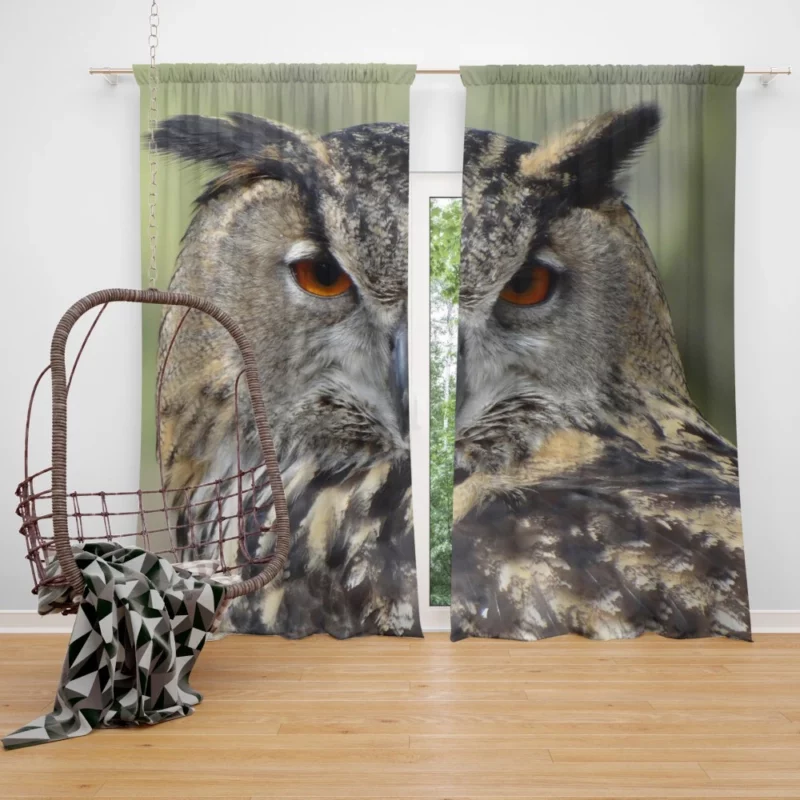 Owl Nocturnal Majesty Enigmatic Stance Curtain