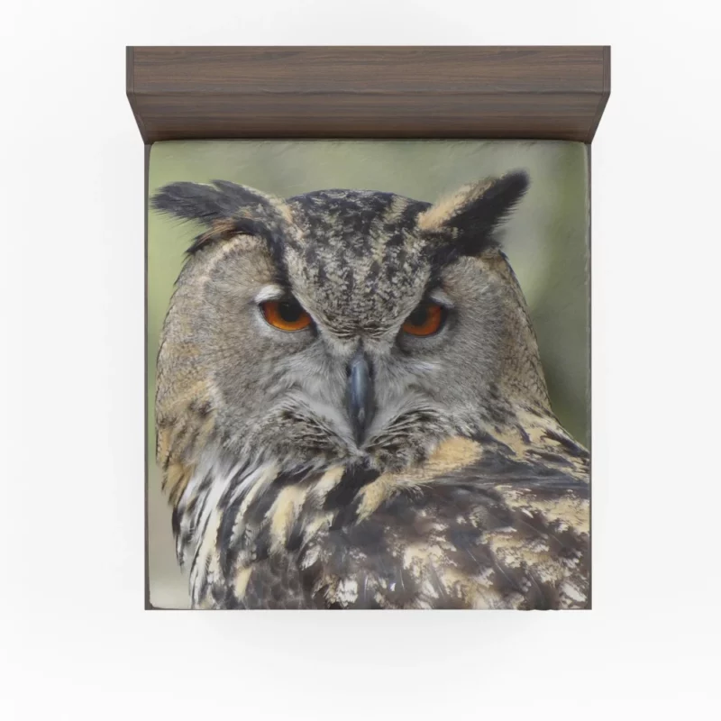 Owl Nocturnal Majesty Enigmatic Stance Fitted Sheet 1