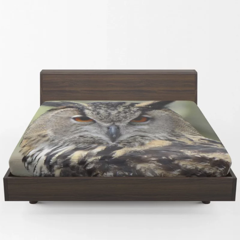 Owl Nocturnal Majesty Enigmatic Stance Fitted Sheet