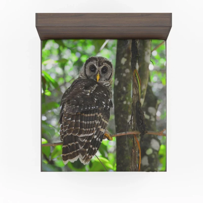 Owl Nocturnal Mystique Bokeh Elegance Fitted Sheet 1