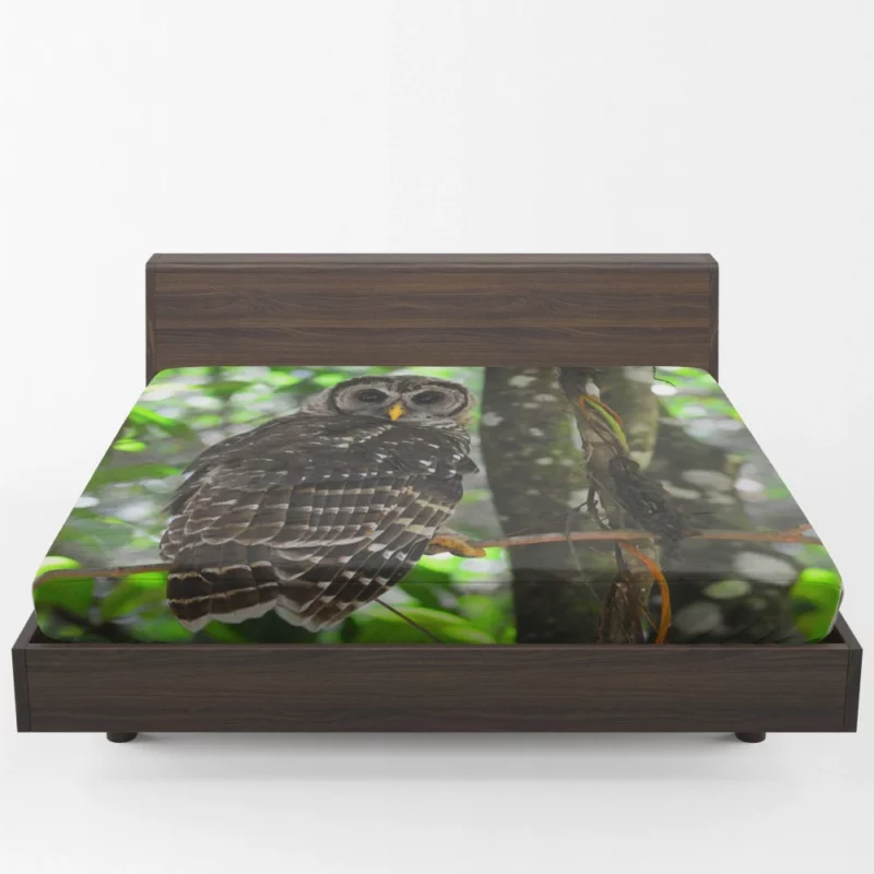 Owl Nocturnal Mystique Bokeh Elegance Fitted Sheet