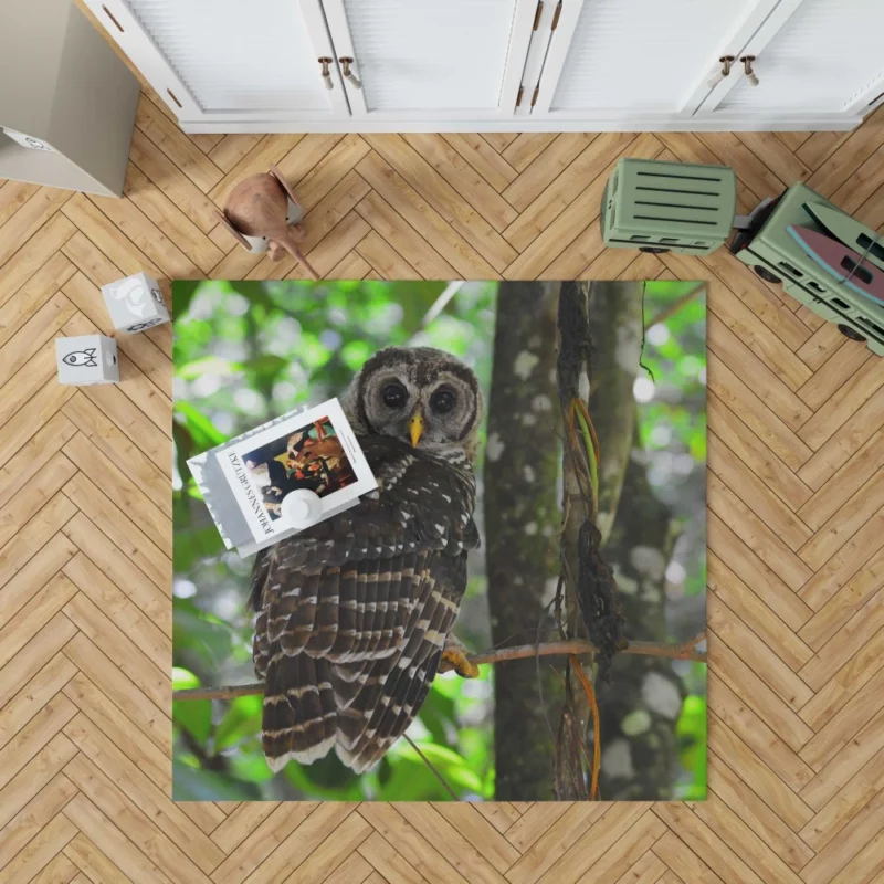 Owl Nocturnal Mystique Bokeh Elegance Rug