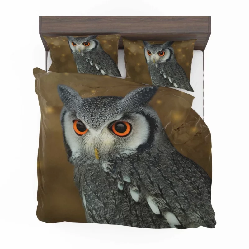 Owl Nocturnal Vigil Silent Guardian Bedding Set 1