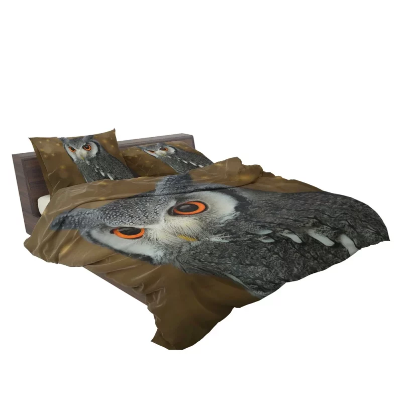 Owl Nocturnal Vigil Silent Guardian Bedding Set 2