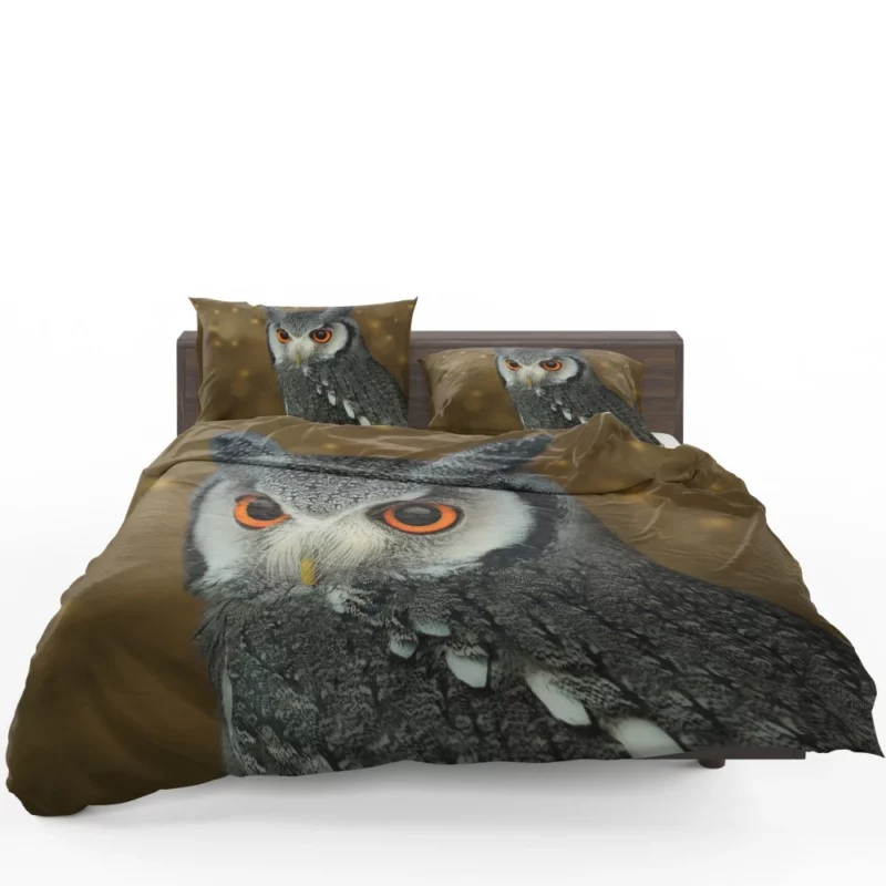 Owl Nocturnal Vigil Silent Guardian Bedding Set