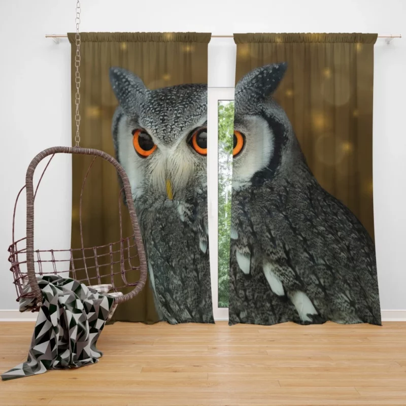 Owl Nocturnal Vigil Silent Guardian Curtain