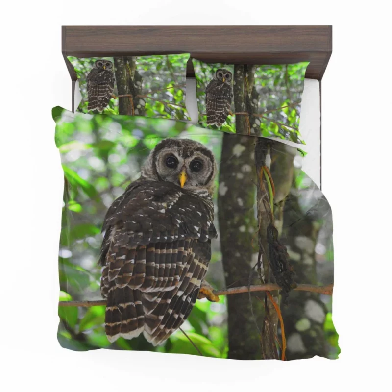 Owl Nocturnal Watch Enigmatic Observer Bedding Set 1