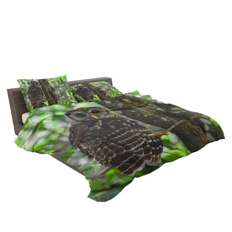 Owl Nocturnal Watch Enigmatic Observer Bedding Set 2