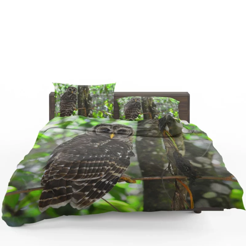 Owl Nocturnal Watch Enigmatic Observer Bedding Set