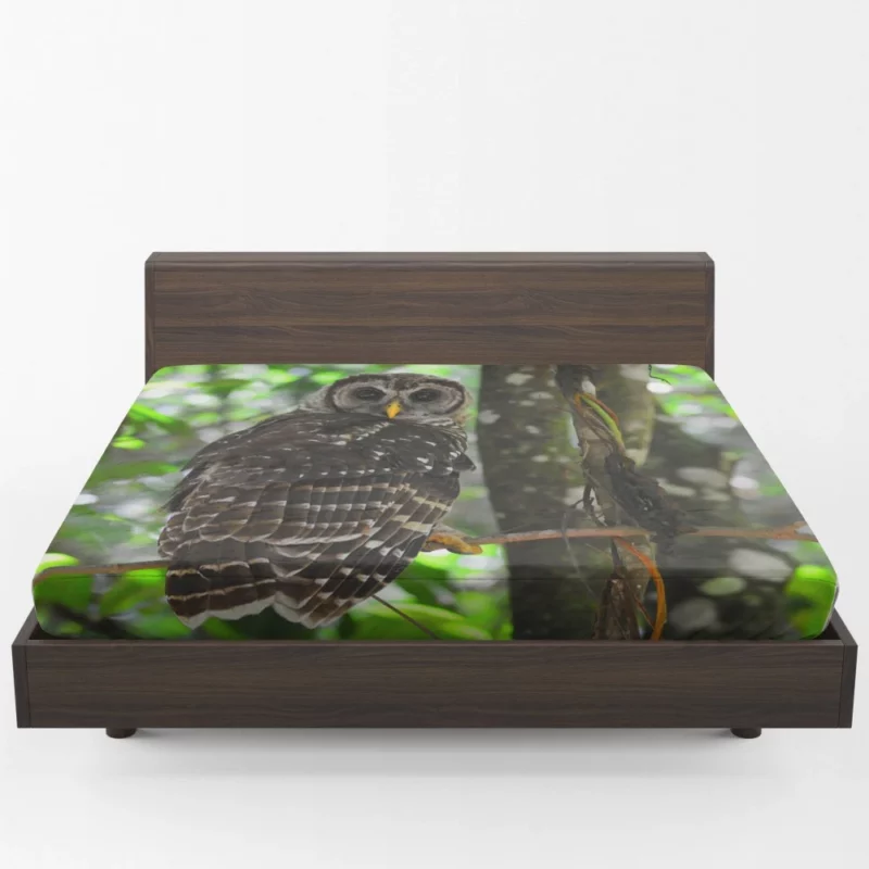 Owl Nocturnal Watch Enigmatic Observer Fitted Sheet