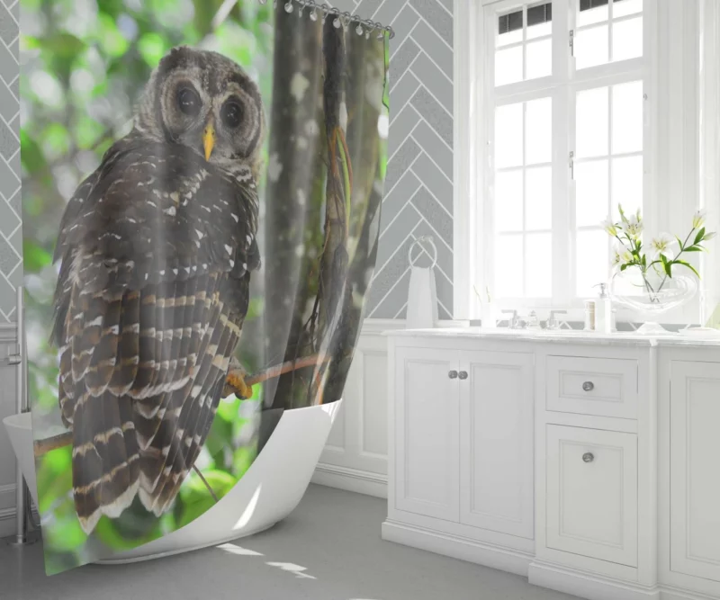 Owl Nocturnal Watch Enigmatic Observer Shower Curtain 1