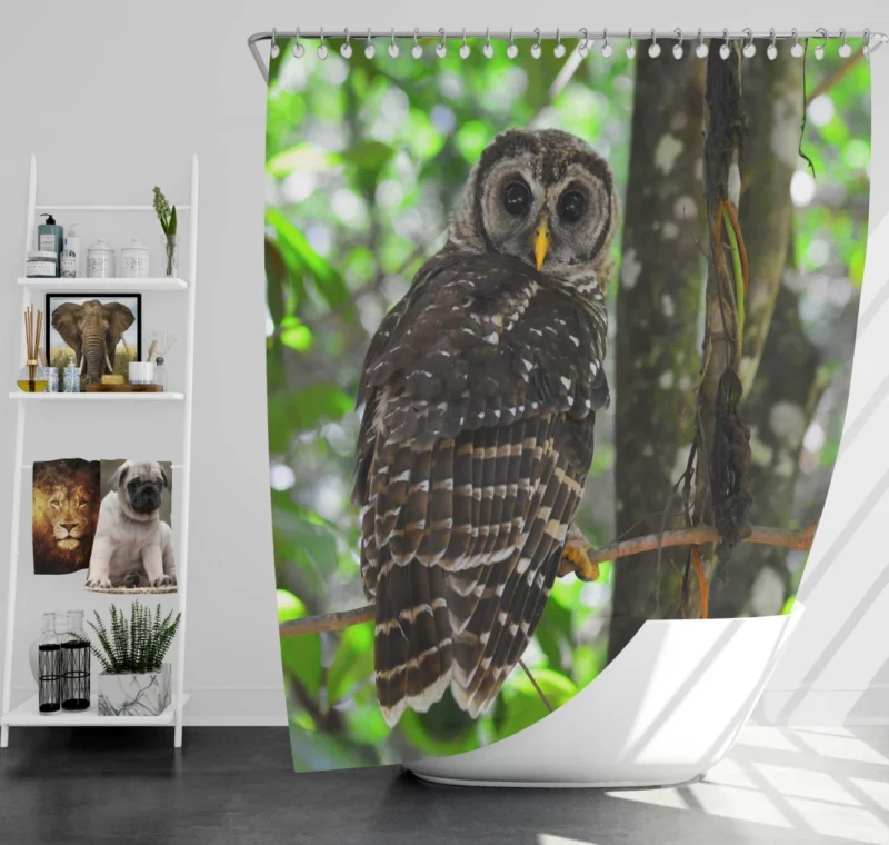 Owl Nocturnal Watch Enigmatic Observer Shower Curtain