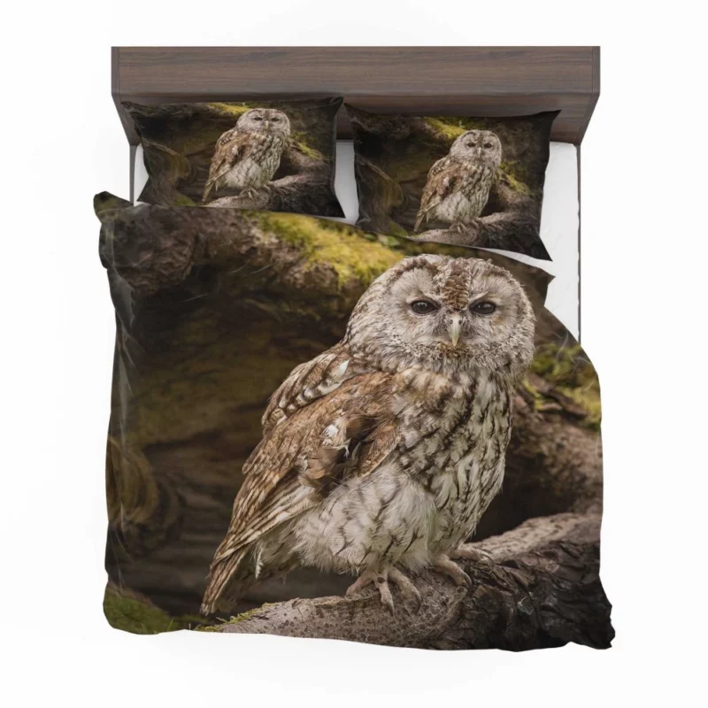 Owl Nocturnal Watch Silent Guardian Bedding Set 1