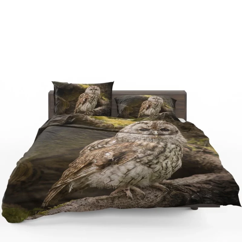 Owl Nocturnal Watch Silent Guardian Bedding Set