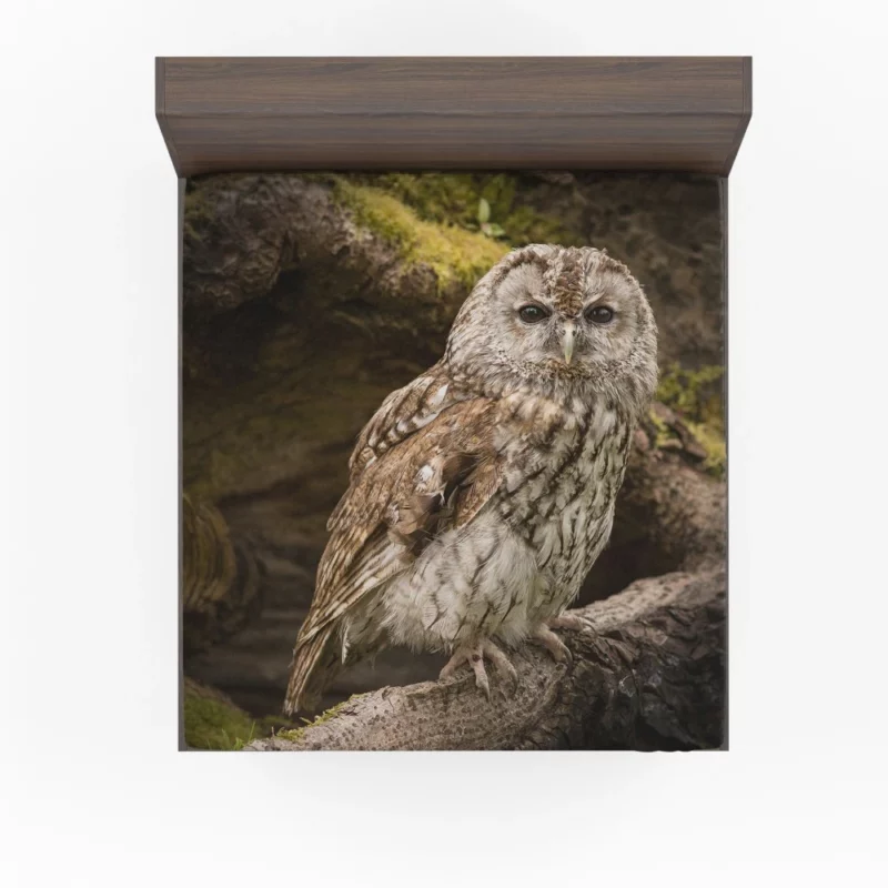 Owl Nocturnal Watch Silent Guardian Fitted Sheet 1