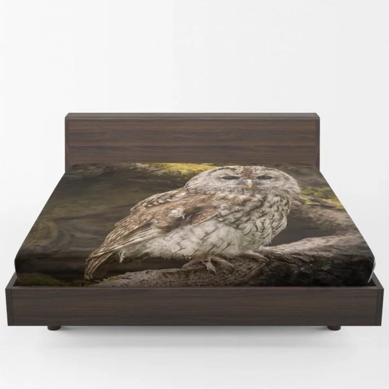 Owl Nocturnal Watch Silent Guardian Fitted Sheet