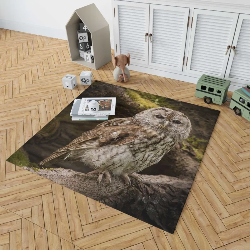 Owl Nocturnal Watch Silent Guardian Rug 1