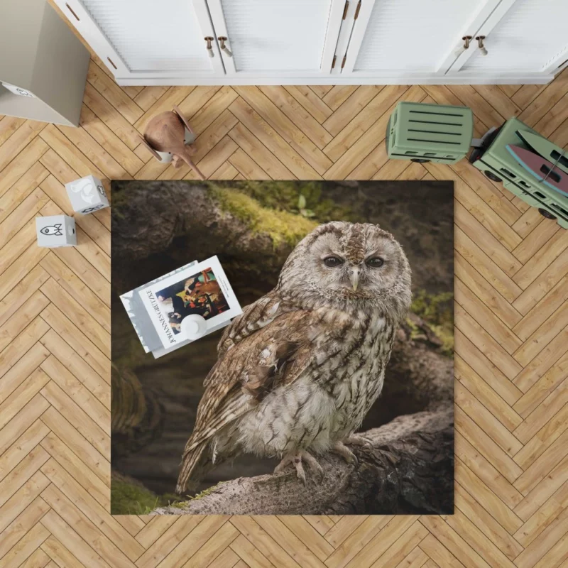 Owl Nocturnal Watch Silent Guardian Rug