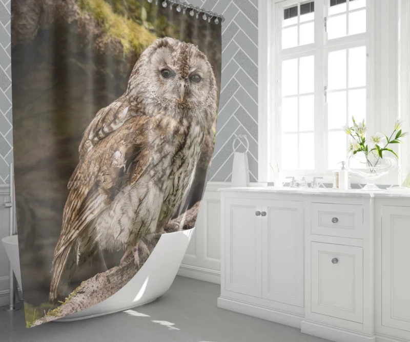 Owl Nocturnal Watch Silent Guardian Shower Curtain 1