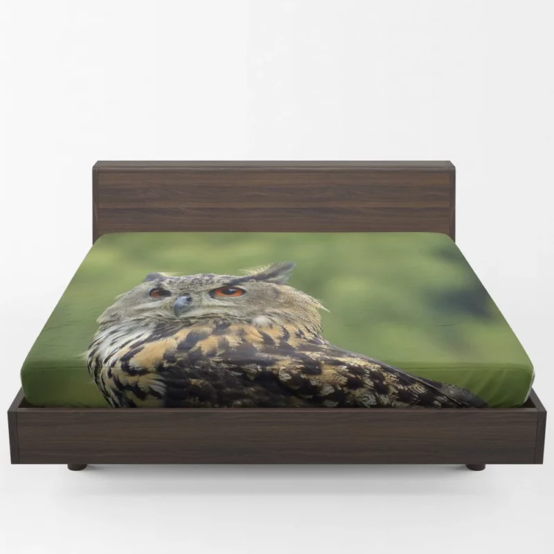 Owl Silent Observation Fitted Sheet