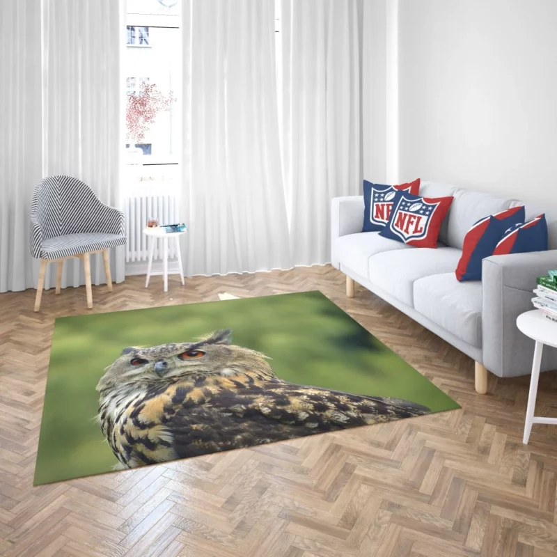 Owl Silent Observation Rug 2