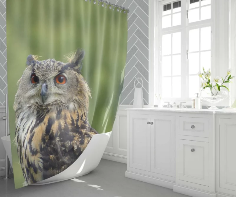 Owl Silent Observation Shower Curtain 1